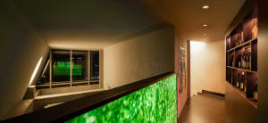 A modern wine bar with a glass bar counter.