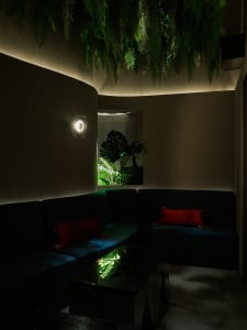 Modern cafe interior with plush seating, warm lighting, and green plants.