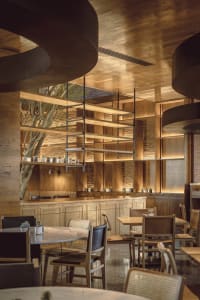 Modern restaurant bar featuring wooden shelves and decor.