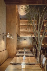 An industrial-style restaurant interior with wooden tables, wall-mounted lights, and a live tree in the center.
