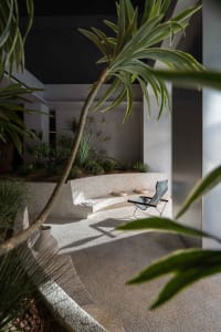 A modern indoor garden lounge with plants and a curved terrazzo seating area.