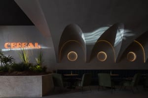 A modern coffee shop interior with concrete walls, circular lights, and greenery.