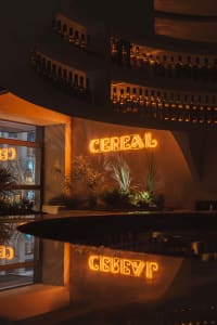 An illuminated neon sign reading 'CEREA', featuring a bar counter with neon lighting and various plants.