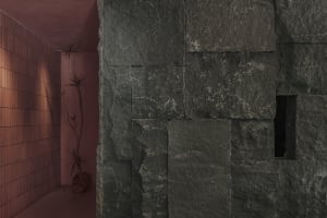 Modern interior space featuring stone walls and a single plant in a vase.