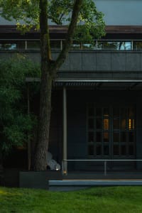 A modern building exterior with a concrete porch and a tree in a small garden.