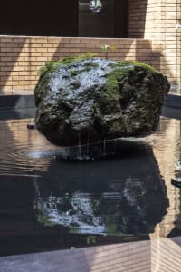A large stone with moss surrounded by water with a small plant growing on top.