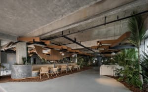 A modern industrial restaurant with concrete ceilings, wooden structures, and green plants for decoration.