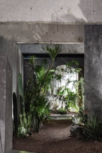 A modern indoor space featuring a concrete installation with various plants and cacti.