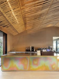 Modern coffee shop with wooden counter and ceiling made of wooden slats