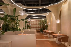A modern restaurant interior featuring terrazzo flooring and lush green plants.