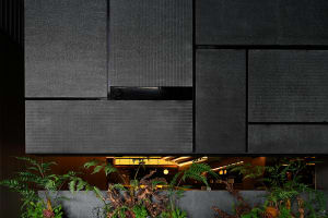 Concrete architecture with indoor plants and black panels.