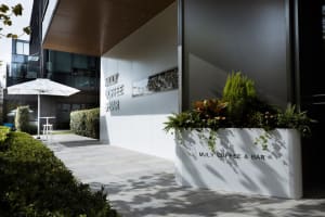 The exterior of a minimalist coffee bar with concrete walls and greenery.