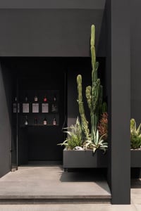 Concrete planter with cactus and succulents in front of modern entryway