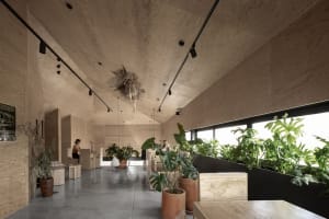 Interior of a modern cafeteria featuring wood paneling, concrete flooring, and lush green plants.