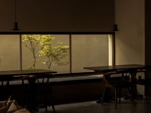 Minimalist café interior with wooden tables, concrete accents, and a tree outside the window.
