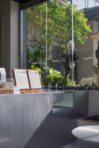 A modern coffee shop with glass walls and green plants.