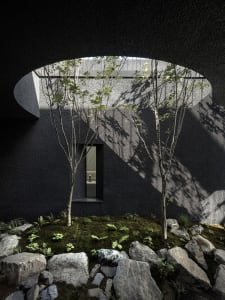 A minimalist interior design featuring concrete walls and a moss-covered floor with a small window and unique architectural e