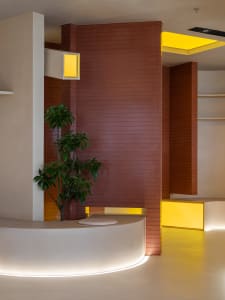 Modern news office lobby with concrete walls and floor, featuring a yellow light feature and green plant.