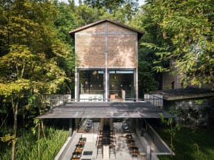 Modern coffee shop featuring large glass facade surrounded by greenery.