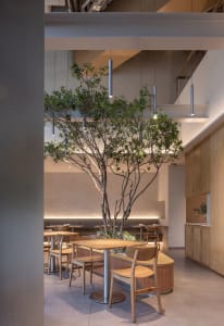 Modern restaurant interior featuring wooden tables, chairs, and a potted plant.