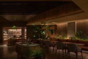 A modern restaurant interior featuring wood, concrete walls, plants, and dark lighting.