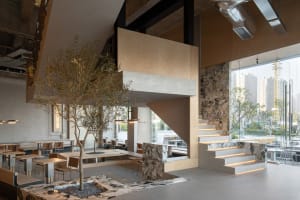 Modern cafeteria featuring concrete, glass, and wooden elements.
