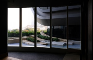 Glass window view of modern interior design featuring concrete and organic plant life
