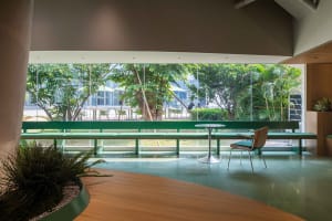 A modern cafe lobby featuring concrete walls and matte green seating against a large window with greenery outside.