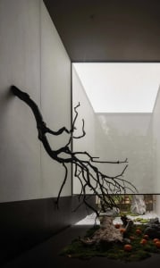 A minimalist interior featuring a rustic wooden sculpture with intricate branches against a clean, modern white wall.