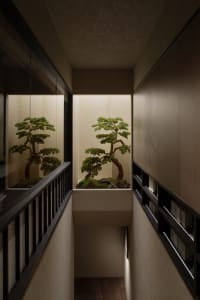 Bonsai tree mounted on a wall in a dark, minimalist interior design setting.
