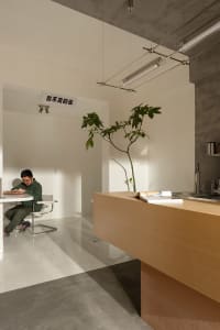 A minimalist shared office space with a concrete floor, featuring a workspace, a plant, and a kitchen area.