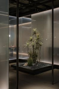 Modern office space featuring glass, concrete, and wood materials