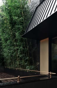 A modern exterior featuring bamboo and glass walls, and concrete flooring.
