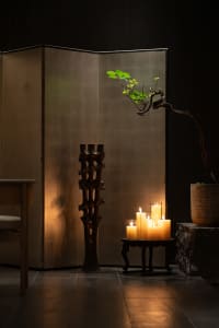 A cozy interior scene featuring candles and a decorative plant.