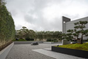 Minimalist garden featuring concrete path, pine trees, and gravel.