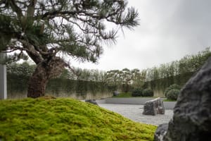 A modern landscape design featuring concrete, rocks, moss, and gravel.