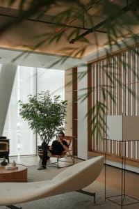 A modern minimalist living room with wooden furniture, large floor-to-ceiling windows, and indoor plants.