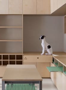 A white and black dog sitting on a wooden desk in a minimalist interior setting.