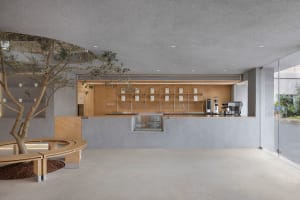A coffee shop interior with a concrete counter and seating area featuring a small tree.