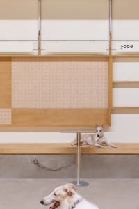Two dogs sitting on a wooden bench in a minimalist space.