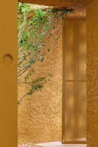 A view of a stucco entryway with a window covered by a mesh screen, featuring green vegetation.