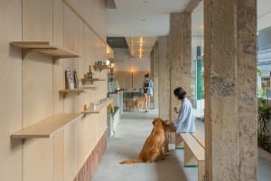 A cozy dog cafe with wooden shelves, concrete columns, and two dogs sitting next to a woman.
