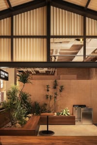 Industrial-style event space featuring a wooden platform with plants.