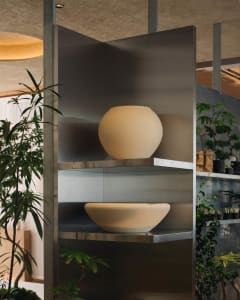 A minimalist, modern industrial-style plant display with metal shelves and glass partitions.