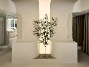 A minimalist interior space featuring a concrete tree planted in a square, illuminated niche.