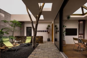 A minimalist residential patio featuring stone pavers, concrete wall, and green plants