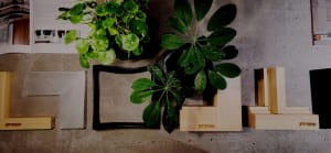 A minimalist interior design featuring modern concrete and millwork elements.