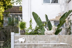 A minimalist residential patio featuring concrete surfaces and lush green plants.