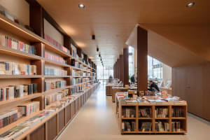Minimalist modern library interior featuring walnut and glass shelves.