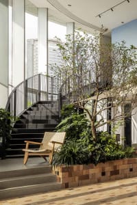 A modern lobby featuring a wooden chair and a tree in a container.